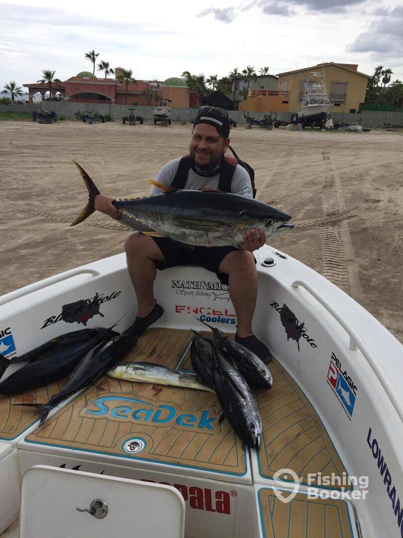 Buenavista Report Photo 0