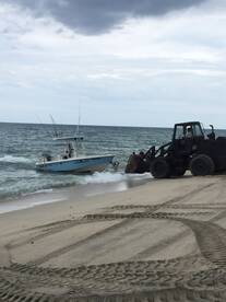 Buenavista Report Photo 1