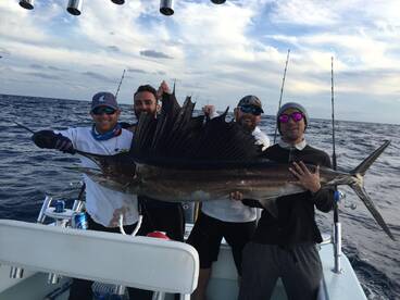 Sailfishing is heating up!