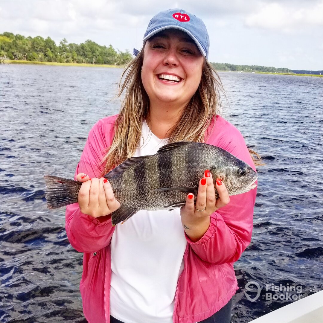 Mount Pleasant Report Photo 0