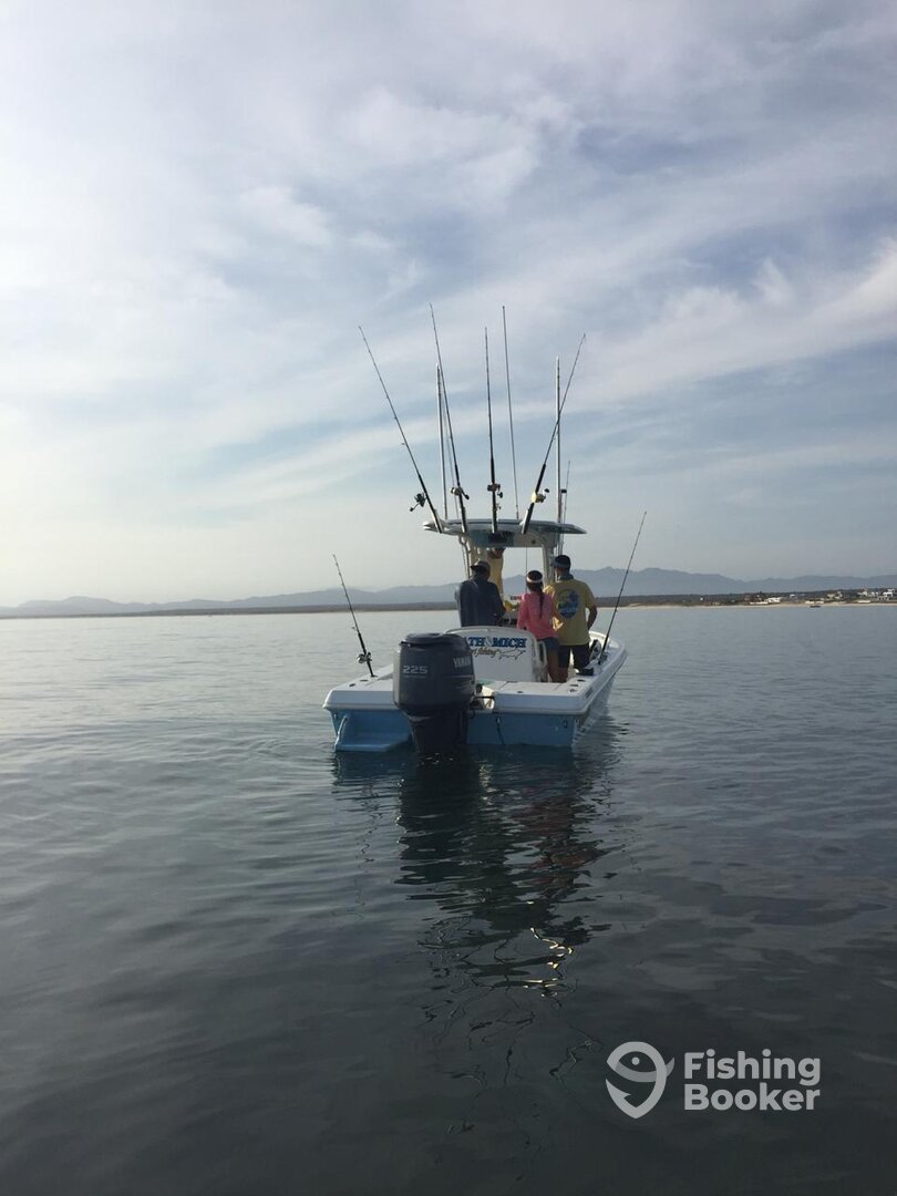 La Ventana Report Photo 0