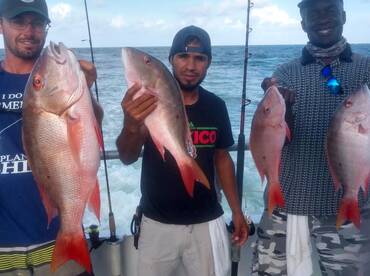 The Snappers Are Biting Good