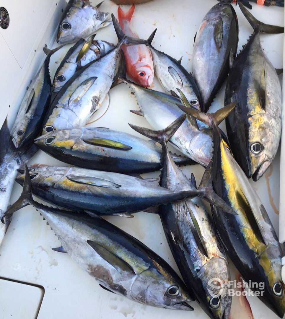 Puerto Aventuras Report Photo 0