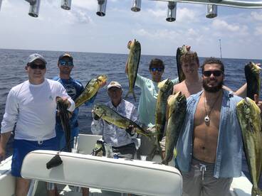 Mahi after the storm