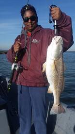 Galveston Report Photo 2