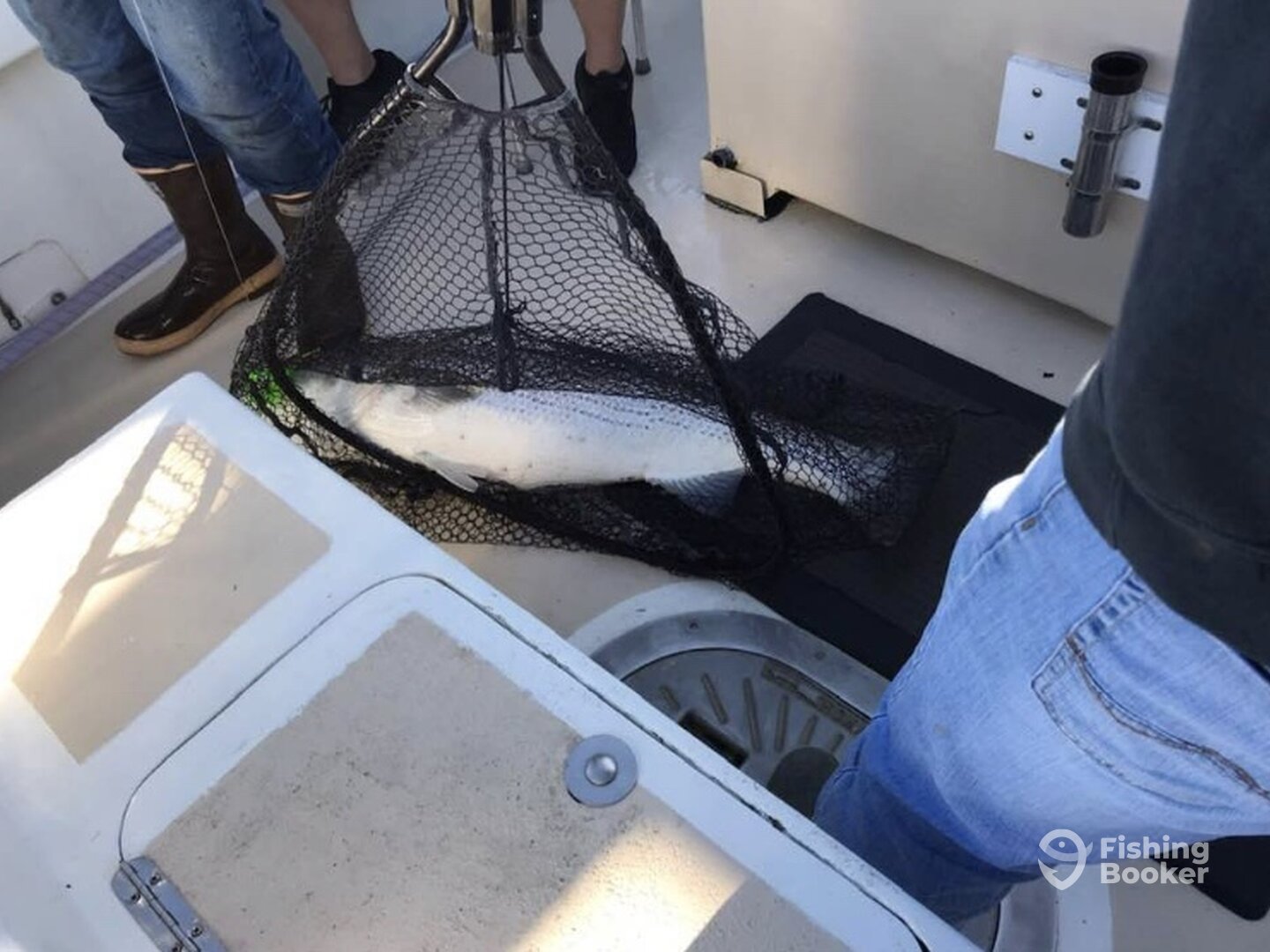 Montauk Report Photo 0