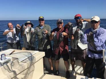 Montauk Report Photo 2