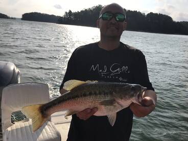 Cumming Report Photo 2