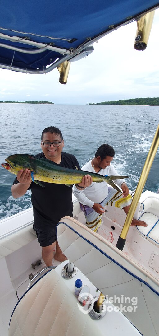 Panama City Report Photo 0