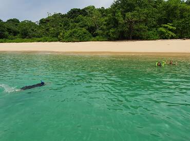 Panama City Report Photo 1