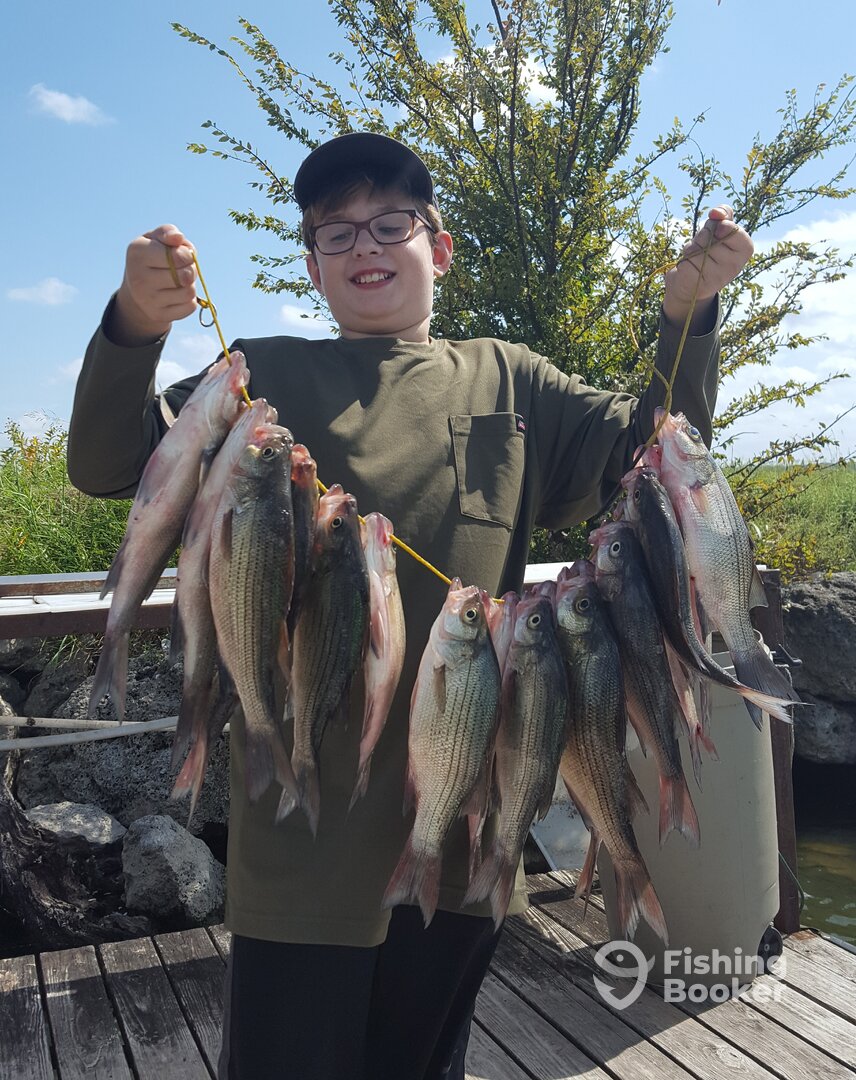 West Tawakoni Report Photo 0