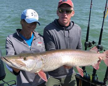 Bite has been on fire ??