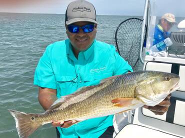 Redfish bite 