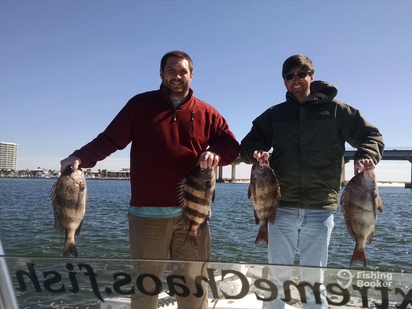 These are a few of what we cought