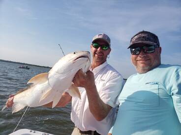 Jacksonville Report Photo 2