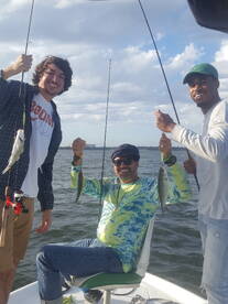 Grapevine Report Photo 2