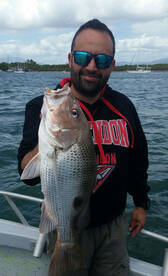 Cairns Report Photo 1