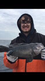 Cape May Verslag Foto 2