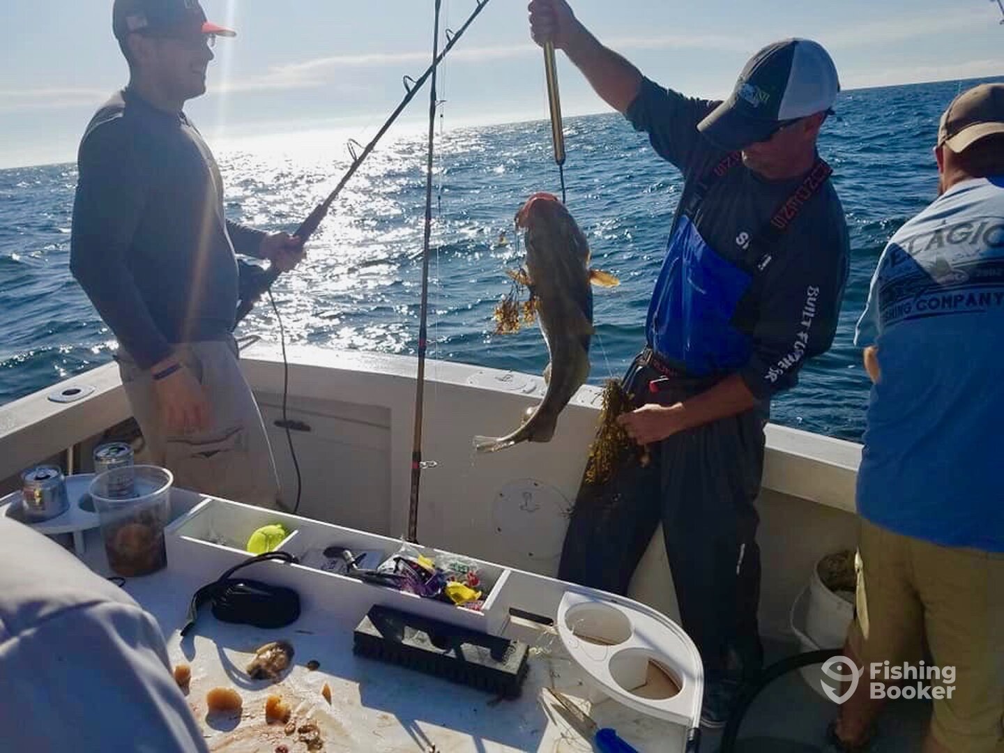 Scituate Report Photo 0