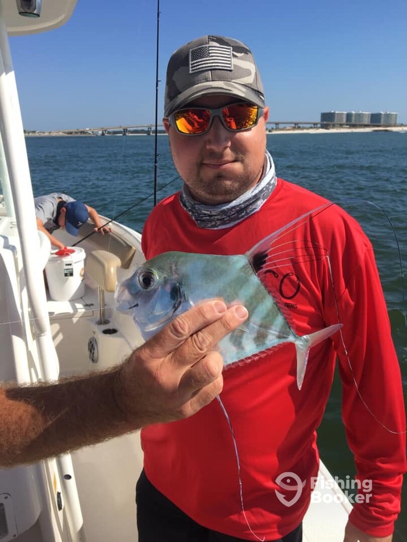 Orange Beach Report Photo 0