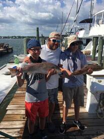 Orange Beach Report Photo 1