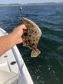 Orange Beach Report Photo 1