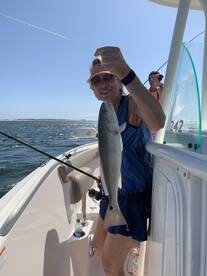 Orange Beach Report Photo 1