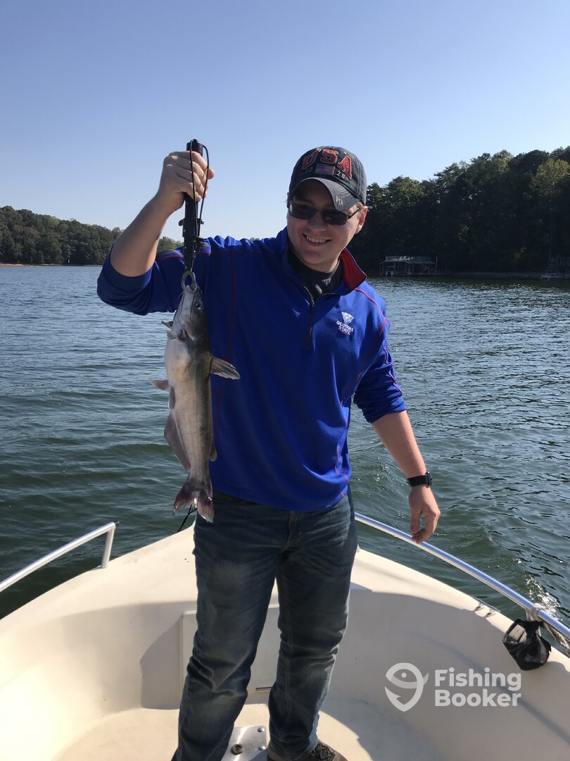 Cumming Report Photo 0