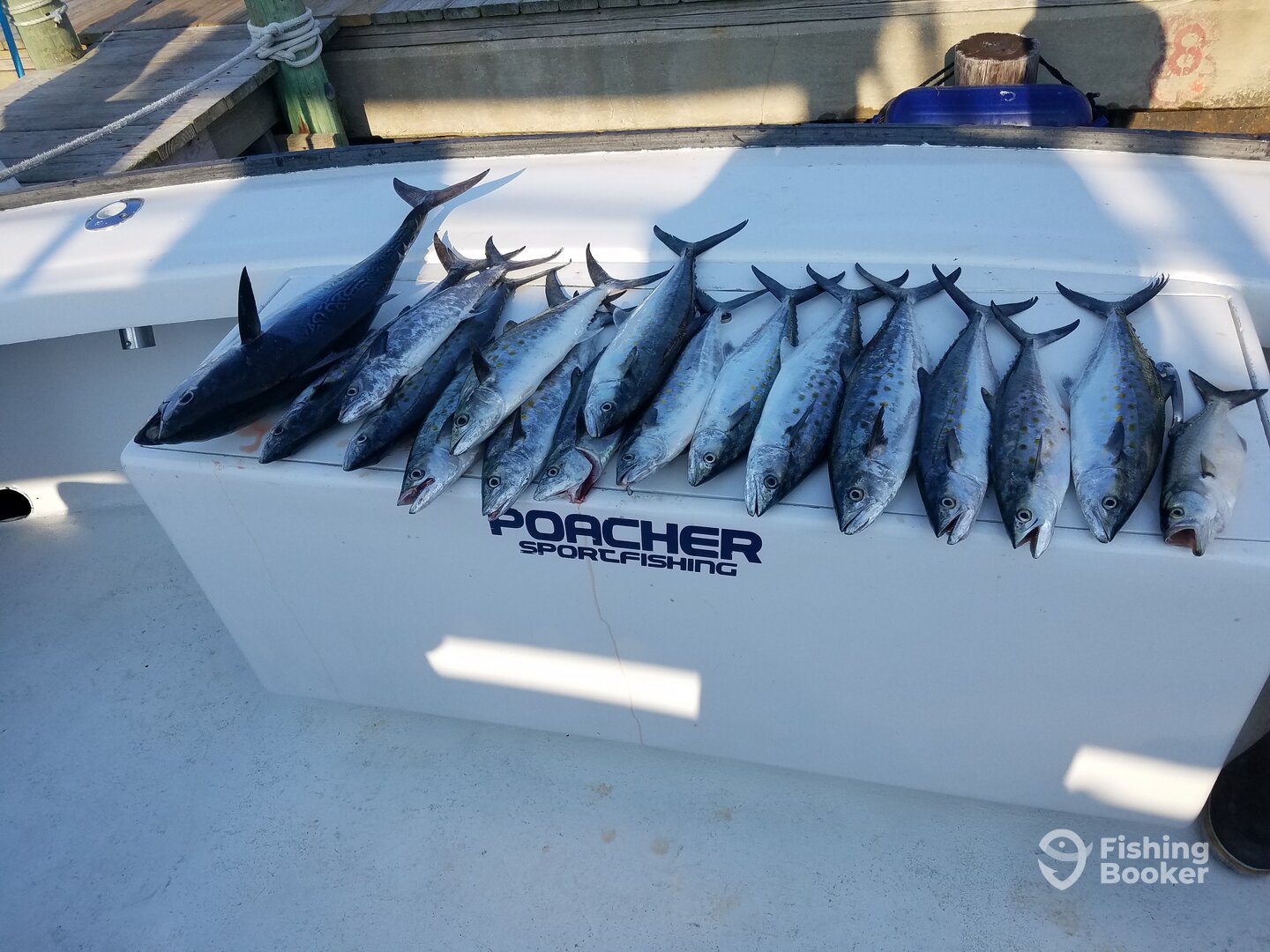 Nags Head Report Photo 0