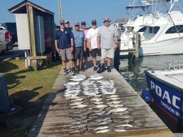 Nags Head Report Photo 2