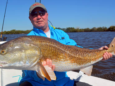 February Redfish