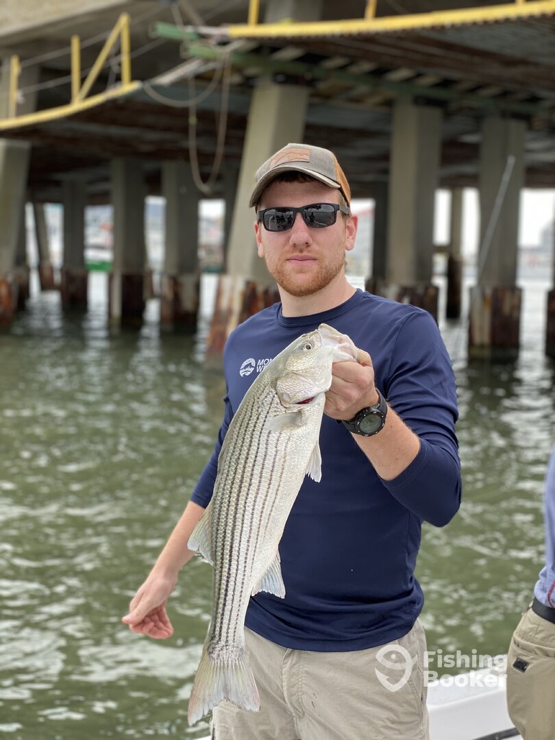 Ocean City Report Photo 0