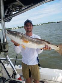 Jacksonville Report Photo 1