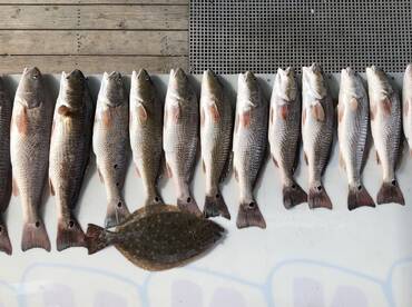 New Orleans Report Photo 1