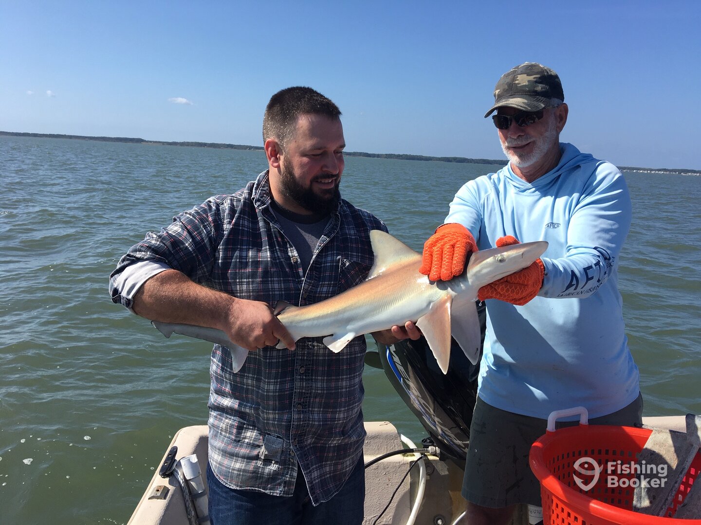 Chincoteague Report Photo 0