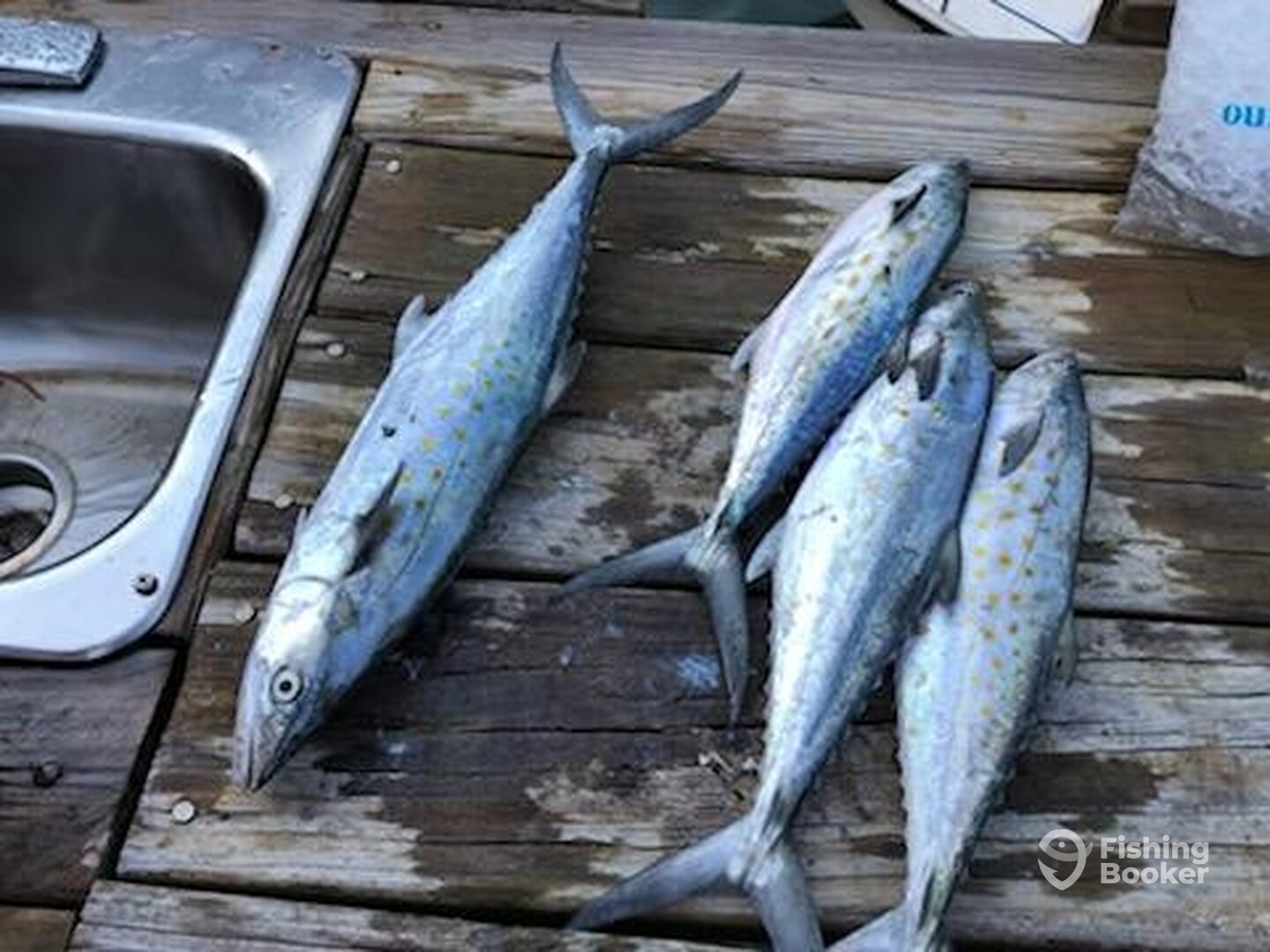 The makings of a great dinner!
