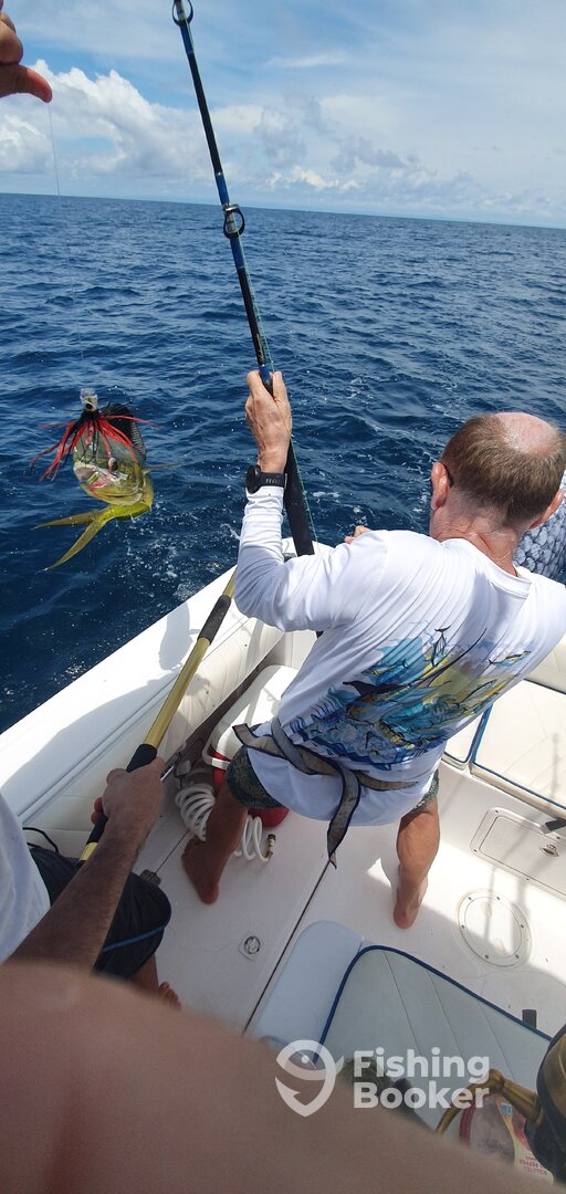 Panama City Report Photo 0