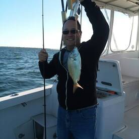 New York City Report Photo 1