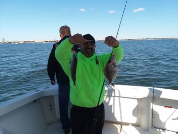 New York City Report Photo 2