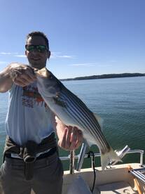 Cumming Report Photo 2