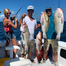 Grouper and amberjack catching 