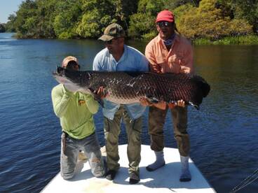 Santa Cruz De La Sierra Report Photo 2