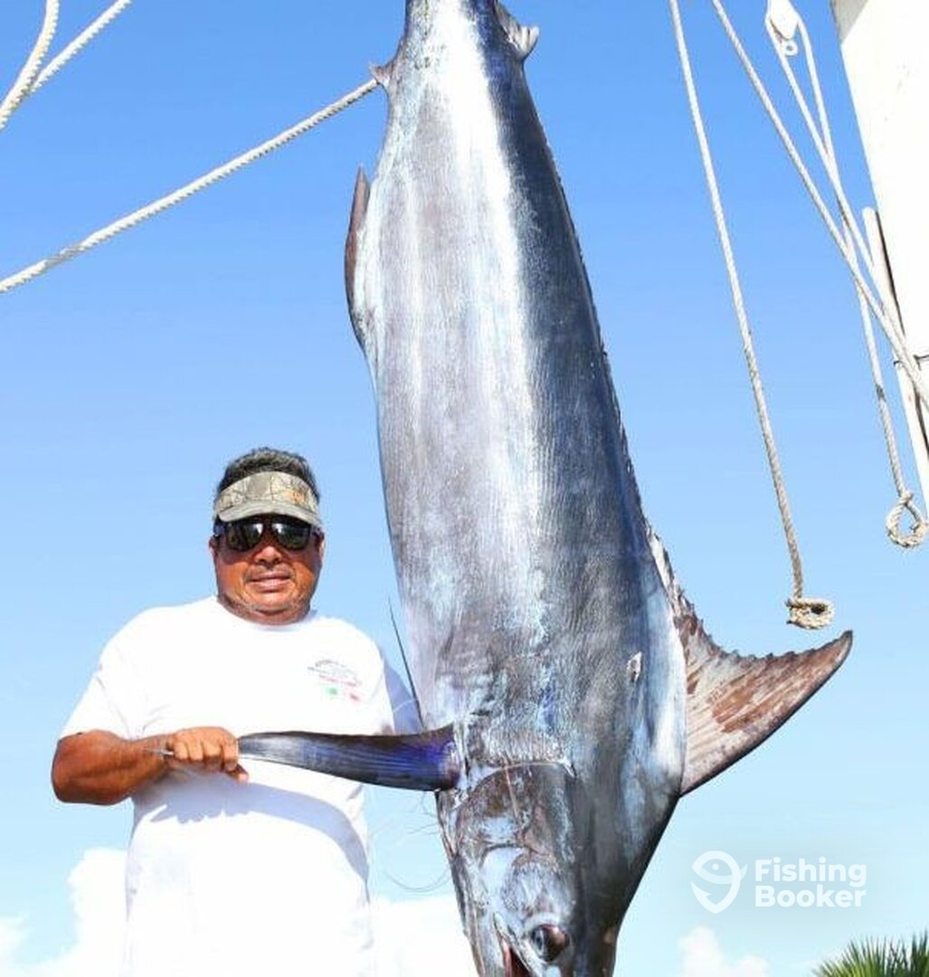 Mazatlán Report Photo 0