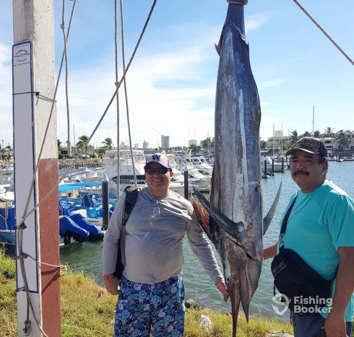 Mazatlán Report Photo 0