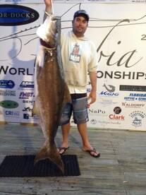 Book your 2016 Cobia trip today!!