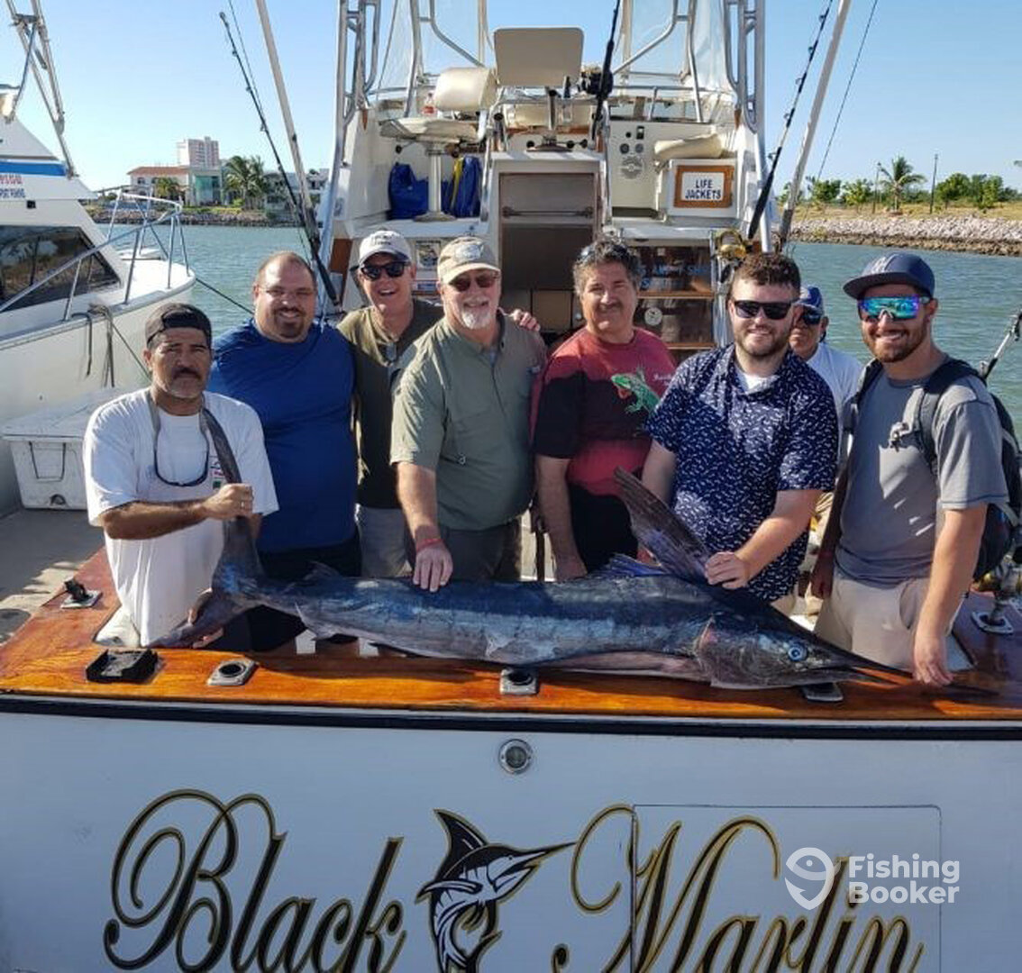 Mazatlán Report Photo 0