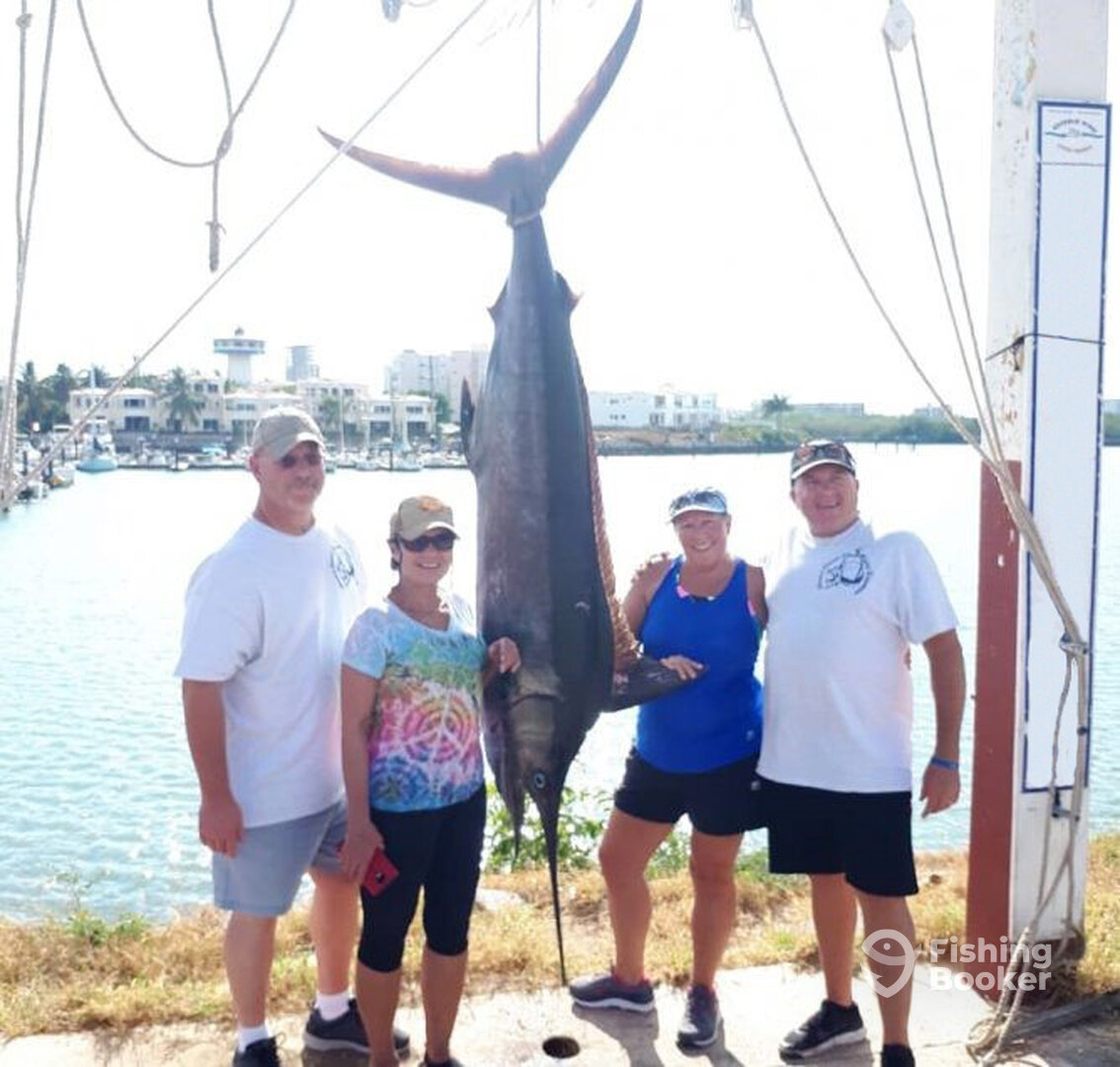 Mazatlán Report Photo 0