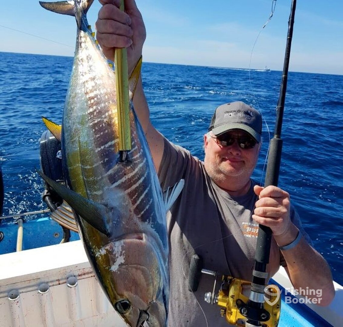 Mazatlán Report Photo 0