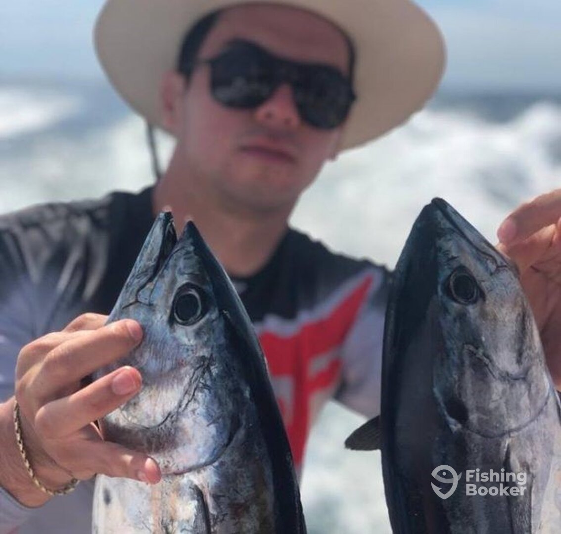 Mazatlán Report Photo 0