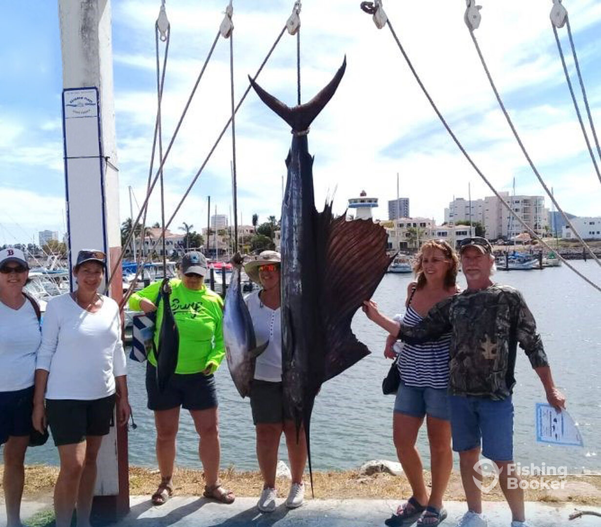 Mazatlán Report Photo 0